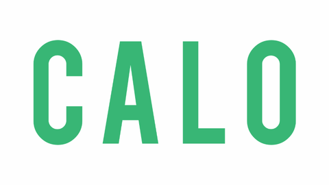 Bahrain Asset management Client CALO