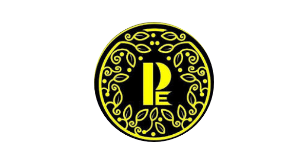 Paneri Embroidery logo – Technowave RFID Retail Automation & Anti-Theft (EAS) case study